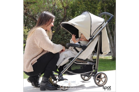 madre con hijo en carro