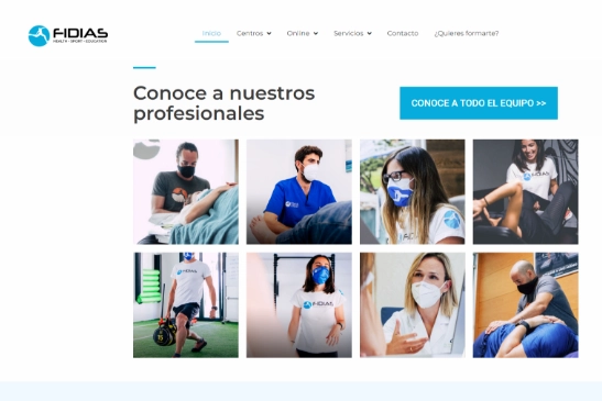 web profesionales fidias