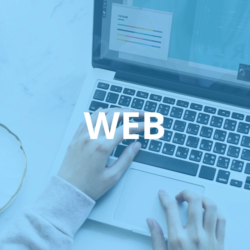 Web Marketing digital servicios